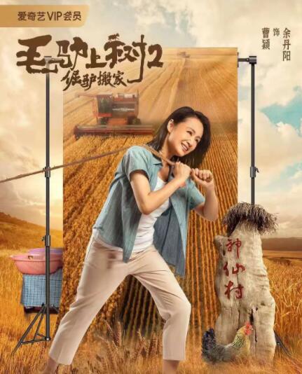 久草在线观看资源