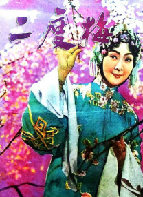 九九婷婷